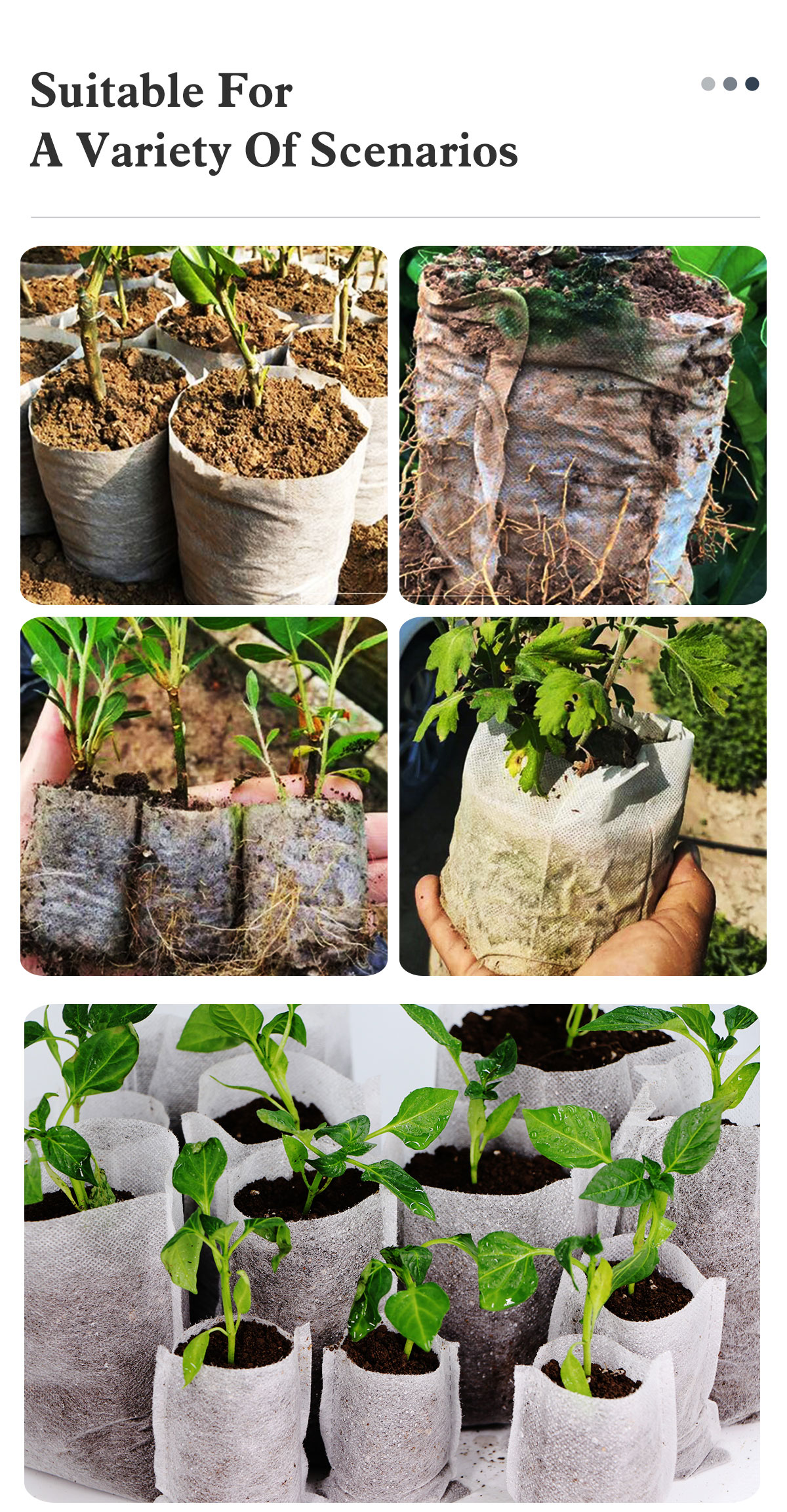 Bolsas biodegradables para plantas, macetas ecol&oacute;gicas de tela no tejida con ventilaci&oacute;n, cultivo en vivero o en jard&iacute;n