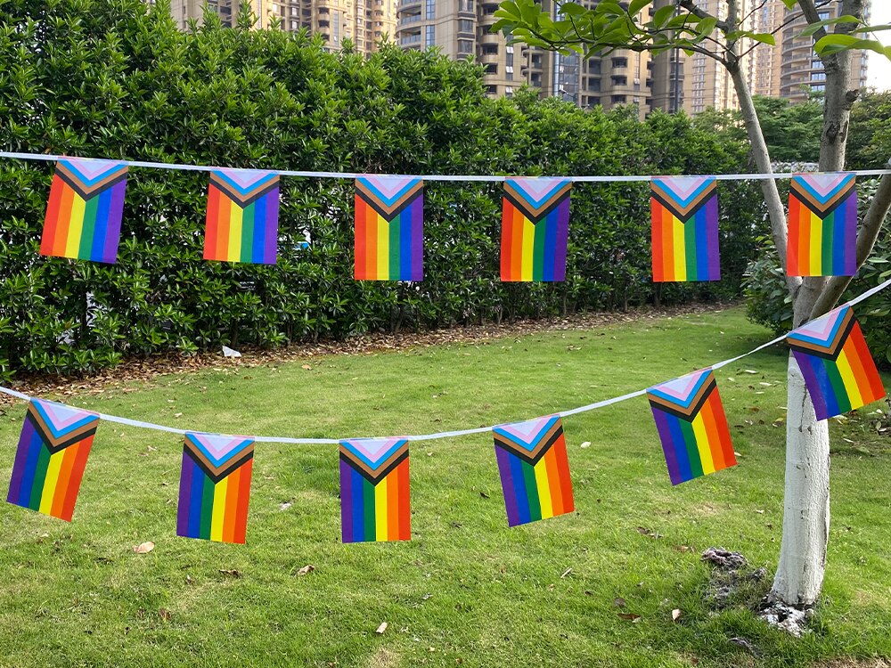 Aerlxemrbrae-banderas de cuerda arco&iacute;ris, 14x21cm, banderas de la paz arco&iacute;ris, bandera LGBT, Orgullo LGBT, desfiles de Lesbianas y Gay, 20 unidades por juego
