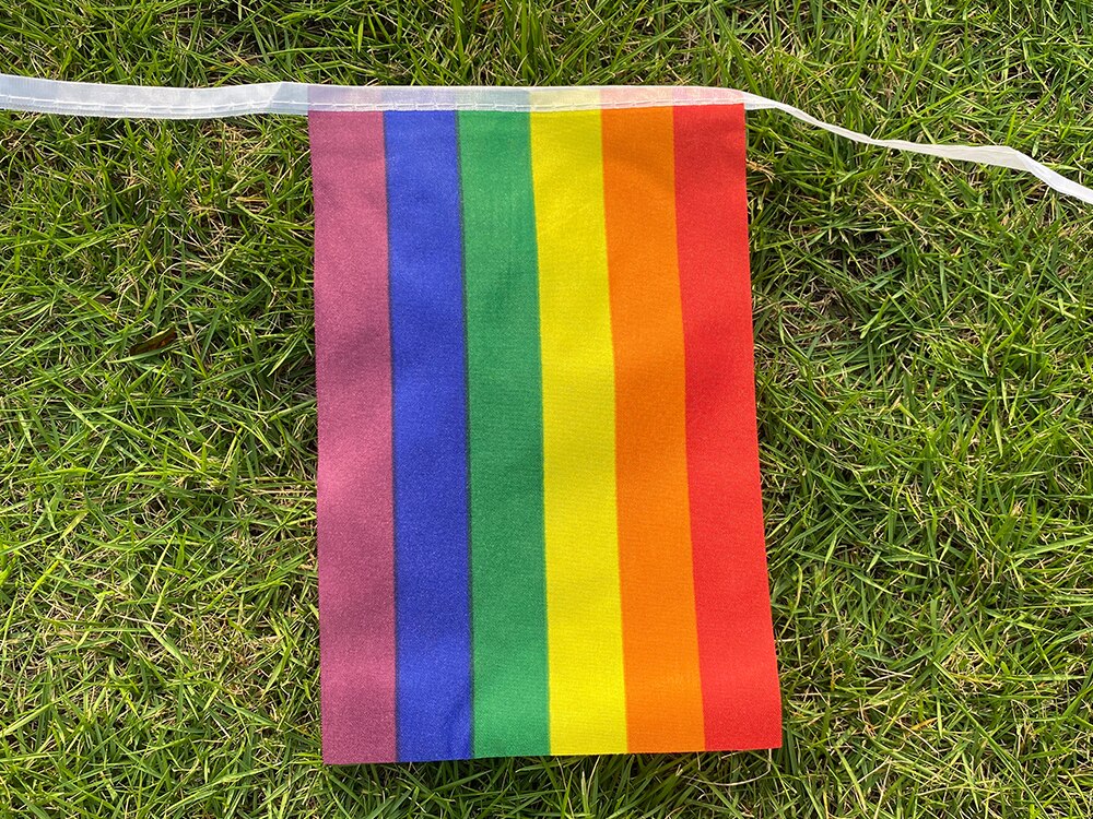 Aerlxemrbrae-Bandera de cuerda arco&iacute;ris de poli&eacute;ster est&aacute;ndar, banderas de la Paz del orgullo Gay, 5,5 M, 20 unidades/juego, 14cm x 21cm