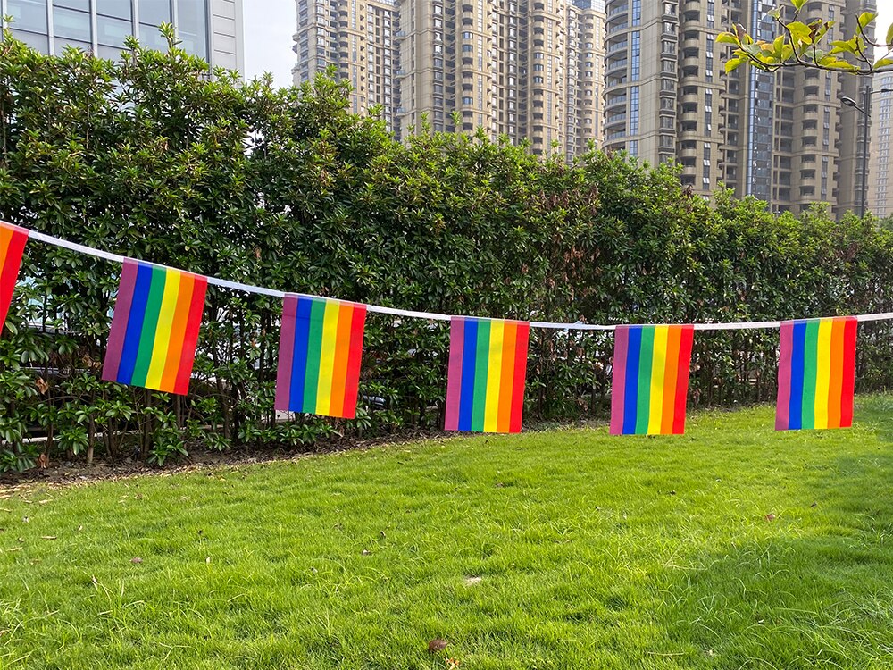 Aerlxemrbrae-Bandera de cuerda arco&iacute;ris de poli&eacute;ster est&aacute;ndar, banderas de la Paz del orgullo Gay, 5,5 M, 20 unidades/juego, 14cm x 21cm