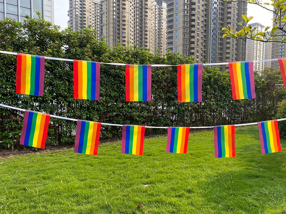 Aerlxemrbrae-Bandera de cuerda arco&iacute;ris de poli&eacute;ster est&aacute;ndar, banderas de la Paz del orgullo Gay, 5,5 M, 20 unidades/juego, 14cm x 21cm