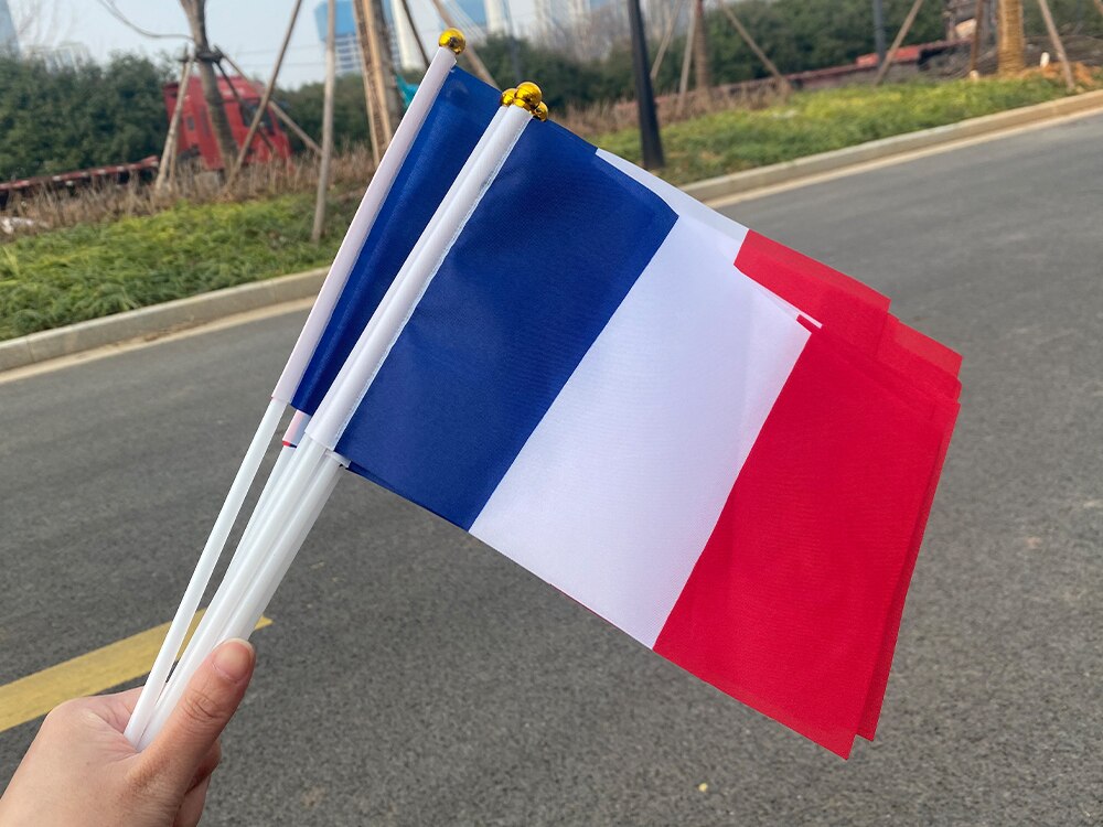 Aerlxemrbrae-Bandera de mano de Francia personalizada, 14x21cm, 100 unids/lote