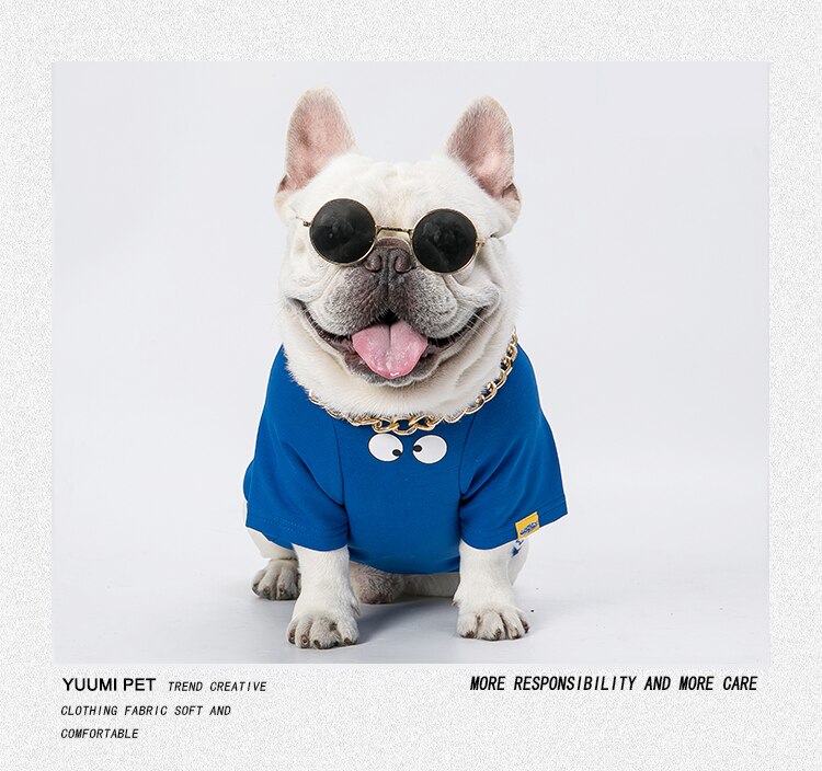 Accesorios para Perros y Gatos, Art&iacute;culos para Mascotas, Gafas de Sol, Arn&eacute;s, Decoraciones para Animales, Cachorros