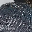 Estatuilla de almacenamiento de llaves de Tucán, estatua de pelícano, cesta de almacenamiento de animales, forma de pájaros, 8,3 pulgadas Estatuilla de almacenamiento de llaves de Tucán, estatua de pelícano, cesta de almacenamiento de animales, forma de pájaros, 8,3 pulgadas